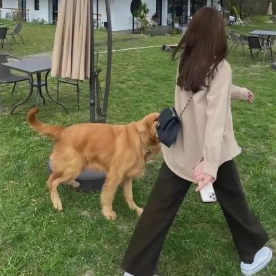 受孕
