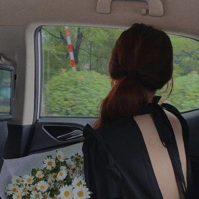 火红的杜鹃花