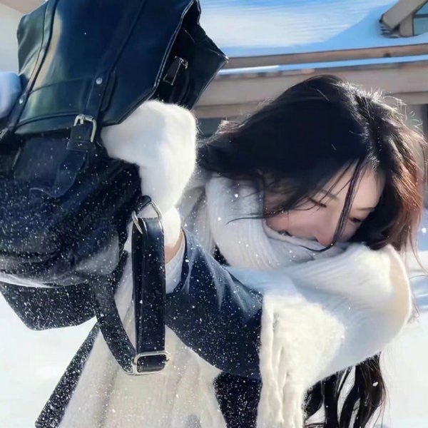 第12届中国电影华表奖